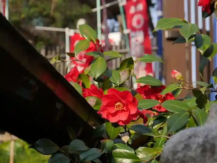 五條天神社の自然