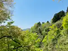 高龍神社(新潟県)