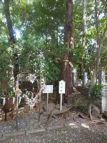 座間神社の自然