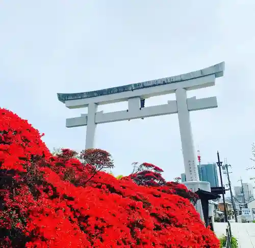 長岡天満宮(京都府)