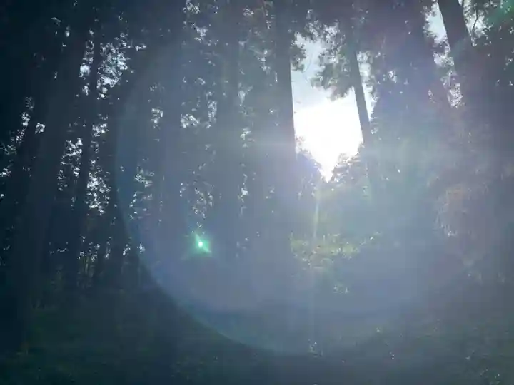 大宮温泉神社の自然