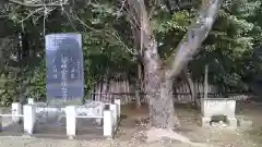 香取神社の自然