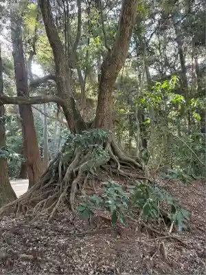 鹿島神宮(茨城県)