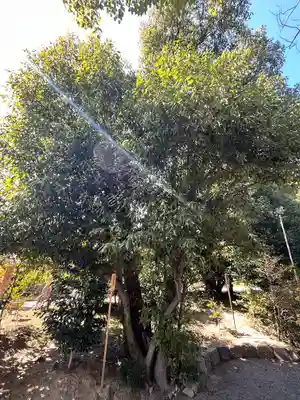 城南宮(京都府)