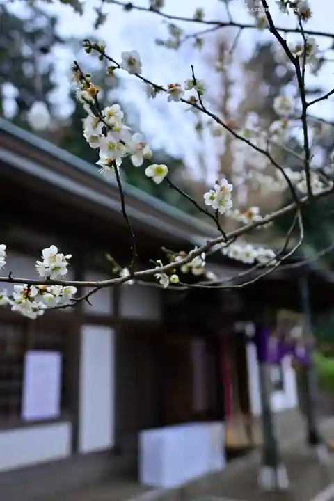 永谷天満宮(神奈川県)