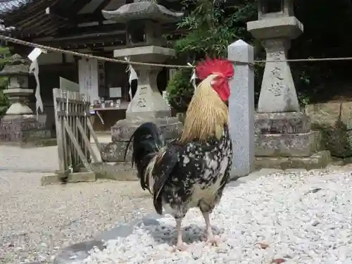 石上神宮(奈良県)