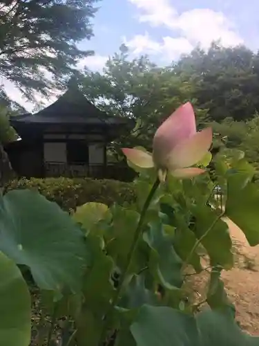 施福寺の庭園