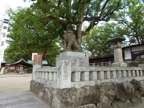 宇美八幡宮の狛犬