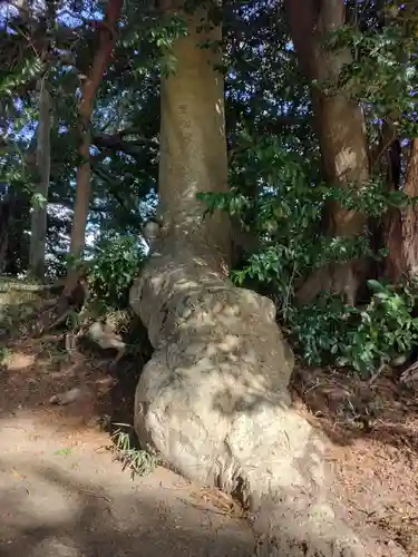 敏太神社(三重県)