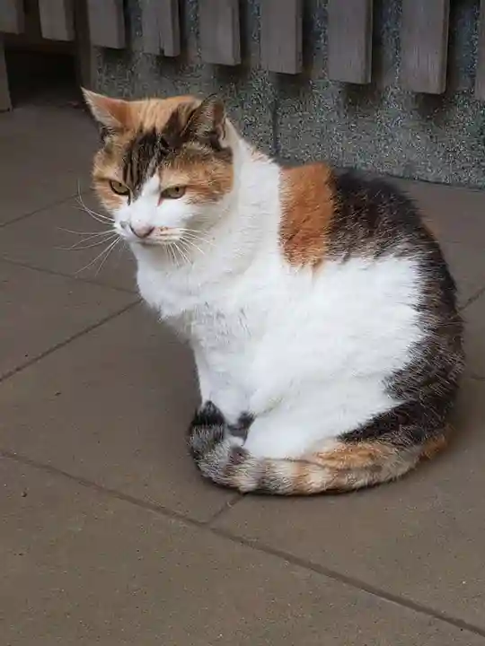 戸越八幡神社の動物