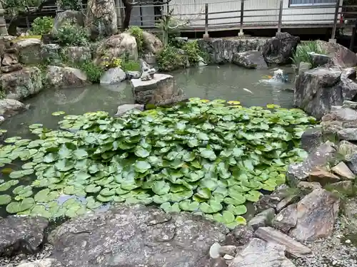 本光寺(愛知県)
