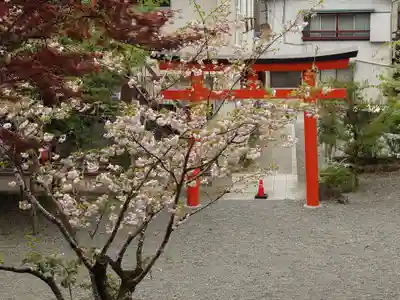 金毘羅神社(山梨県)