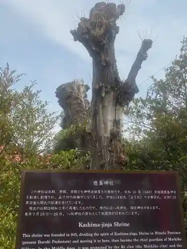 鹿島神社のその他建物