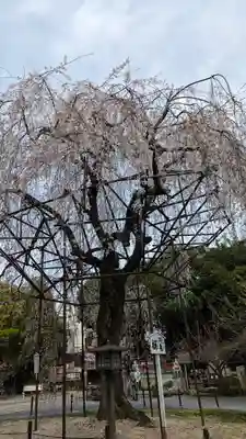 大報恩寺（千本釈迦堂）(京都府)