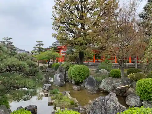 蓮華王院（三十三間堂）の庭園