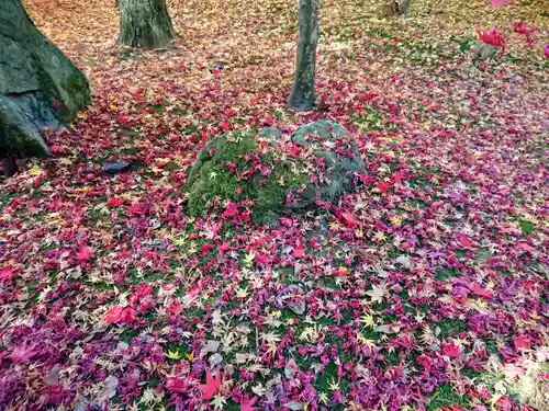 円通院の庭園