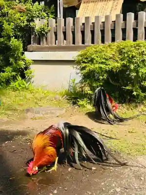 大甕神社(茨城県)