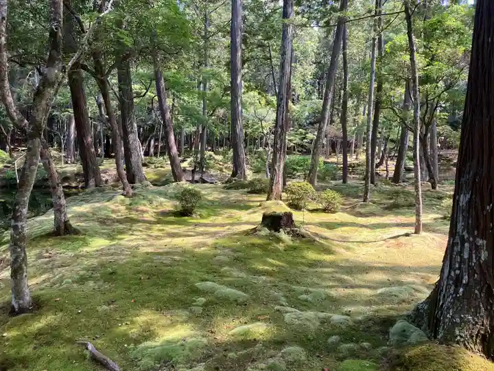西芳寺(京都府)