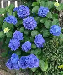 高靇神社の自然