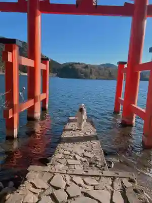 箱根神社(神奈川県)