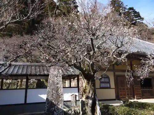 永源寺(滋賀県)