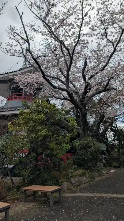 阿弥陀院(福岡県)