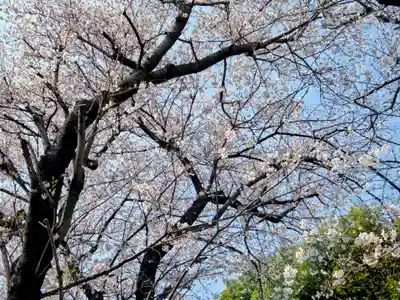 桜森稲荷神社(神奈川県)