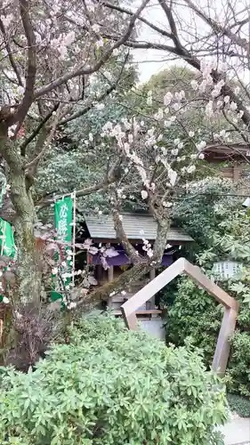 阿佐ヶ谷神明宮(東京都)