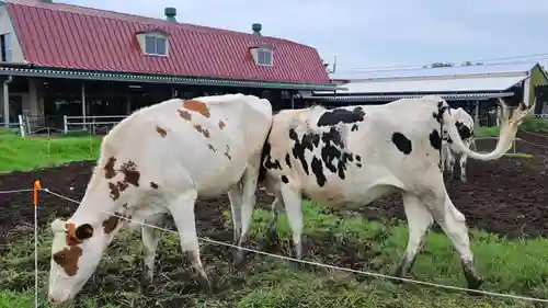 能護寺(埼玉県)