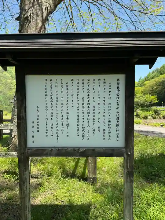 旗挙八幡宮(長野県)