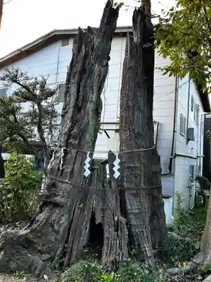 豊鹿嶋神社(東京都)