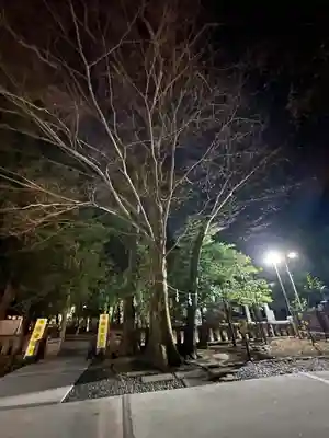 布多天神社(東京都)