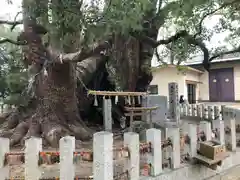 宇美八幡宮(福岡県)