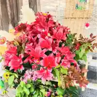 彌彦神社 (伊夜日子神社)(北海道)