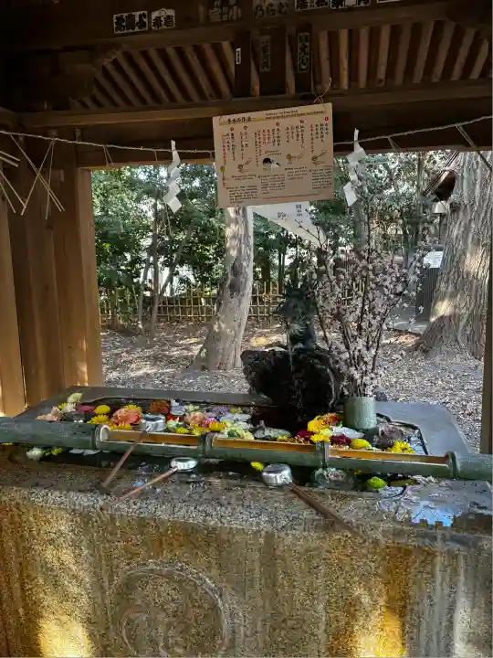 世田谷八幡宮(東京都)