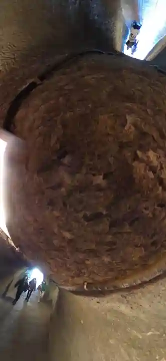 銭洗弁財天宇賀福神社(神奈川県)