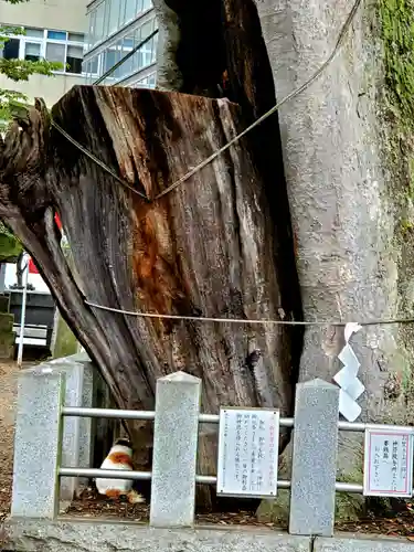 阿邪訶根神社の動物