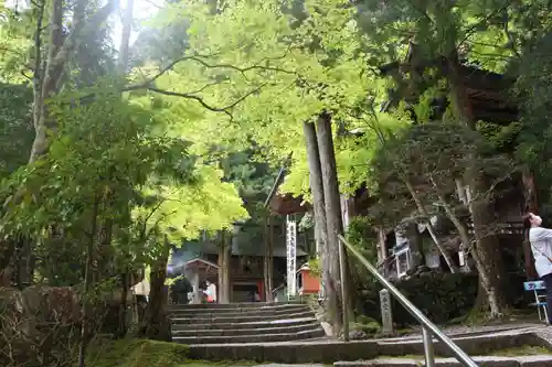 岩屋寺(愛媛県)