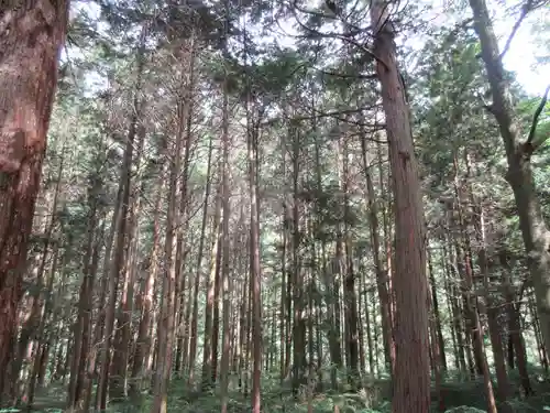 原野八幡宮の自然