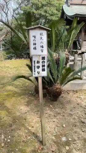 枝光八幡宮の{uncategorized: "未分類", other: "その他", undefined: "問題あり", building: "その他建物", grave: "お墓", sacred_gate: "鳥居", guardian: "狛犬", statue: "像", buddha: "仏像", history: "歴史", nature: "自然", garden: "庭園", animal: "動物", pagoda: "塔", temizu: "手水舎", mountain_gate: "山門・神門", sanctuary: "本殿・本堂", subordinate: "末社・摂社", art: "芸術", scenery: "景色", jizo: "地蔵", ema: "絵馬", goshuin: "御朱印", omikuji: "おみくじ", items: "授与品その他", amulet: "お守り", goshuincho: "御朱印帳", eats: "食事", festival: "お祭り", votive_dance: "神楽", shichigosan: "七五三参", wedding: "結婚式", experience: "体験その他", initially: "初詣", around: "周辺", anti_infection: "感染症対策"}
