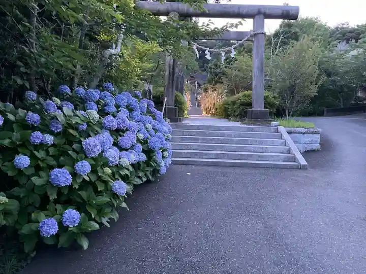 高家神社(千葉県)