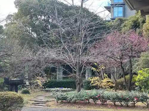 千鳥ヶ淵戦没者墓苑(東京都)