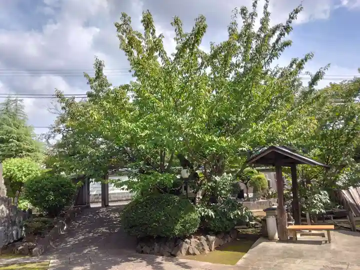 清岸寺(東京都)