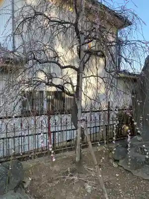 武蔵第六天神社の{uncategorized: "未分類", other: "その他", undefined: "問題あり", building: "その他建物", grave: "お墓", sacred_gate: "鳥居", guardian: "狛犬", statue: "像", buddha: "仏像", history: "歴史", nature: "自然", garden: "庭園", animal: "動物", pagoda: "塔", temizu: "手水舎", mountain_gate: "山門・神門", sanctuary: "本殿・本堂", subordinate: "末社・摂社", art: "芸術", scenery: "景色", jizo: "地蔵", ema: "絵馬", goshuin: "御朱印", omikuji: "おみくじ", items: "授与品その他", amulet: "お守り", goshuincho: "御朱印帳", eats: "食事", festival: "お祭り", votive_dance: "神楽", shichigosan: "七五三参", wedding: "結婚式", experience: "体験その他", initially: "初詣", around: "周辺", anti_infection: "感染症対策"}