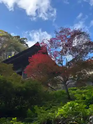 宝珠山 立石寺(山形県)