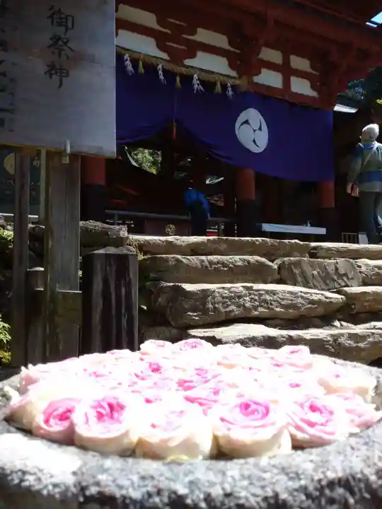 丹生都比売神社の本殿・本堂