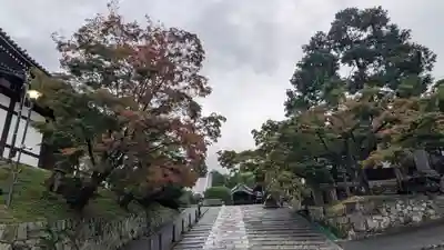 くろ谷 金戒光明寺(京都府)