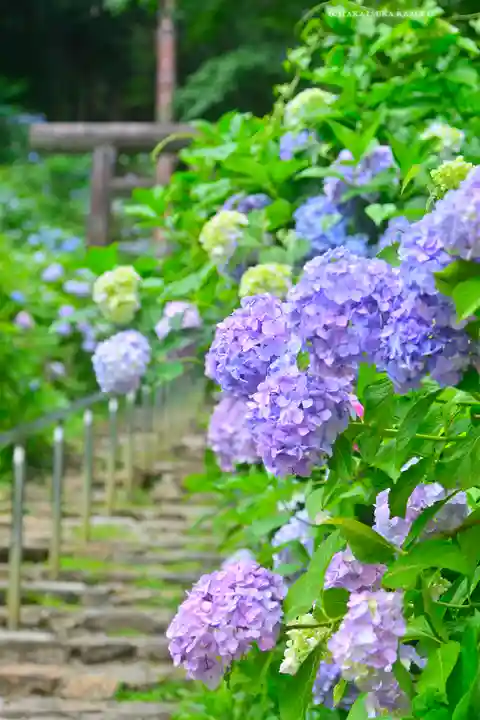 太平山神社(栃木県)