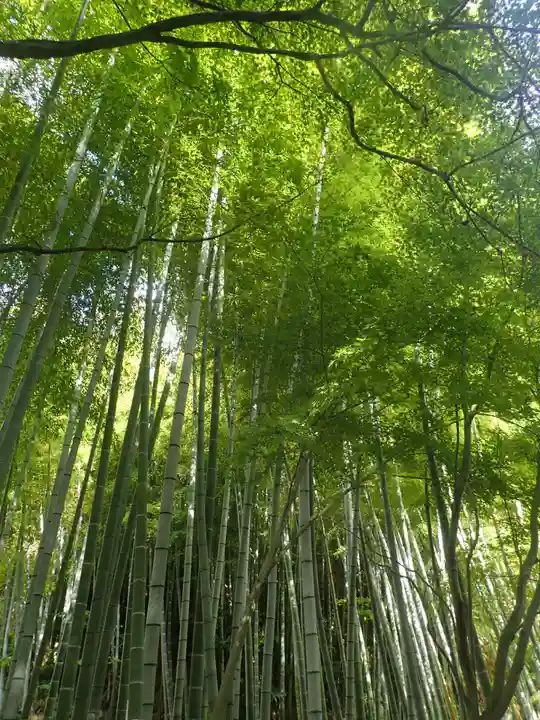 建長寺 半僧坊(神奈川県)