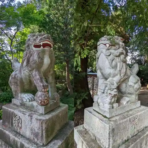 岩槻久伊豆神社の狛犬